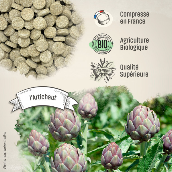 Artichaut Bio - 400 mg - 200 comprimés - Herbes & Plantes
