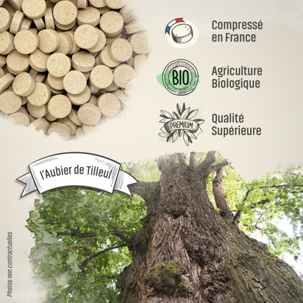 Aubier de Tilleul Bio - 400 mg - 200 comprimés - Herbes & Plantes