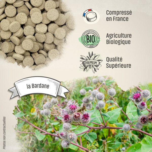 Bardane Bio - 400 mg - 200 comprimés - Herbes & Plantes