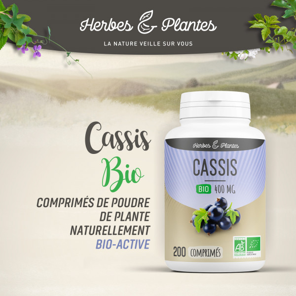 Cassis Bio - 400 mg - 200 comprimés - Herbes & Plantes