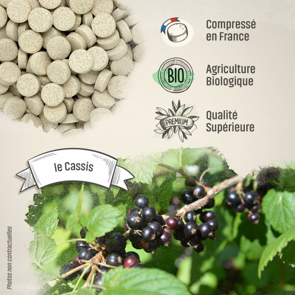 Cassis Bio - 400 mg - 200 comprimés - Herbes & Plantes