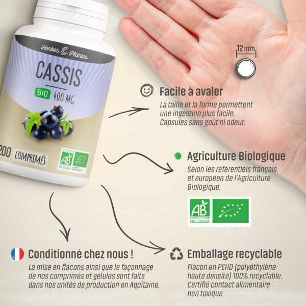 Cassis Bio - 400 mg - 200 comprimés - Herbes & Plantes