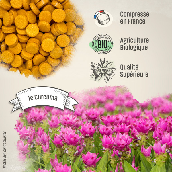 Curcuma Bio - 400 mg - 200 comprimés - Herbes & Plantes