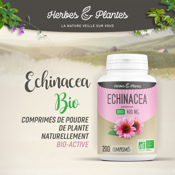 Echinacea Bio - 400 mg - 200 comprimés - Herbes & Plantes