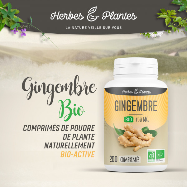 Gingembre Bio - 400 mg - 200 comprimés - H&P