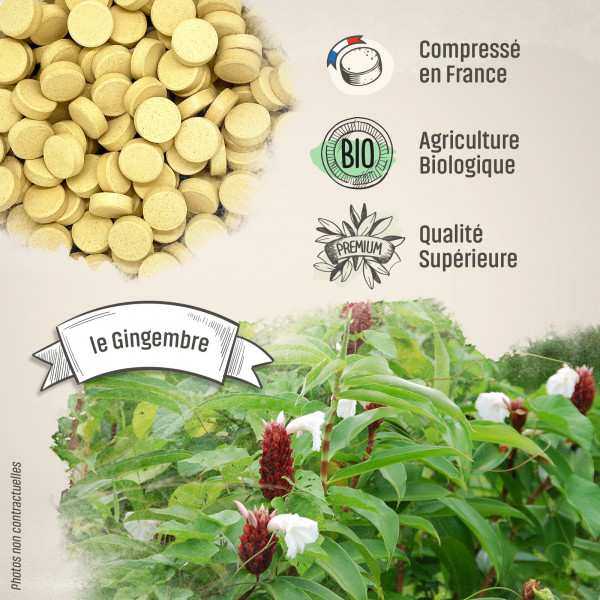 Gingembre Bio - 400 mg - 200 comprimés - H&P
