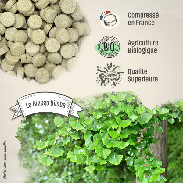 Ginkgo biloba Bio - 300 mg - 200 comprimés - H&P