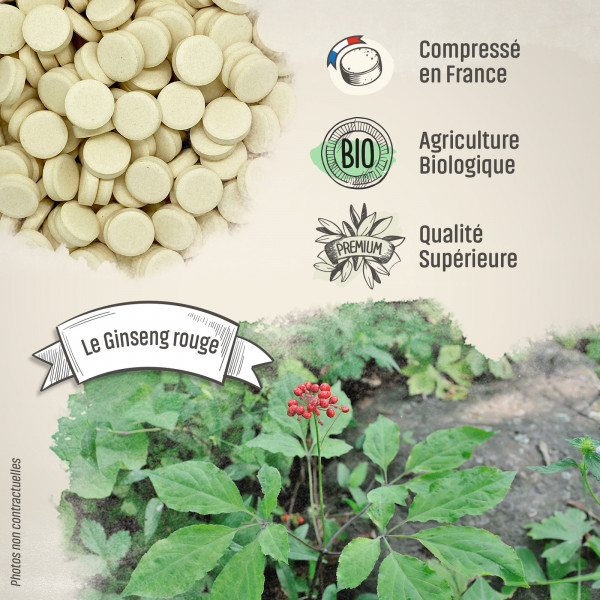 Ginseng Rouge Bio - 400 mg - 200 comprimés - H&P