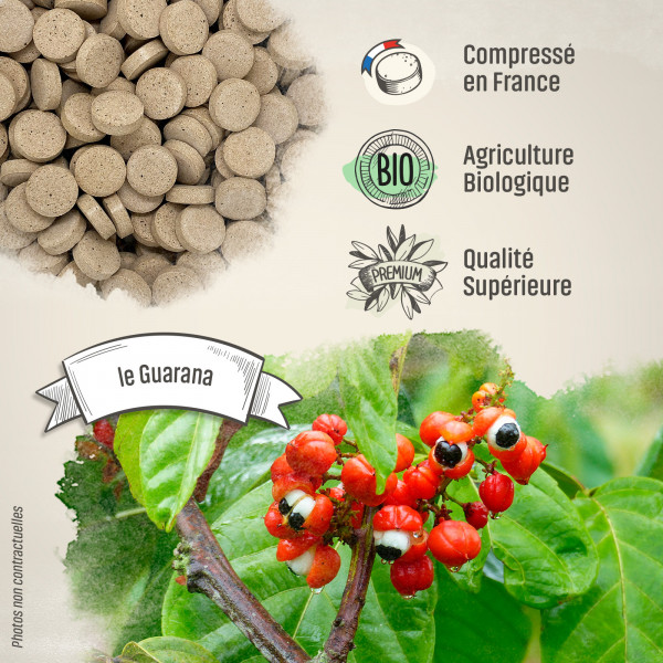 Guarana Bio - 400 mg - 200 comprimés - H&P