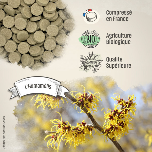 Hamamélis Bio - 400 mg - 200 comprimés - H&P
