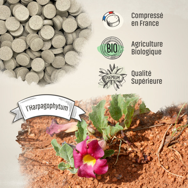 Harpagophytum Bio - 400 mg - 200 comprimés - H&P