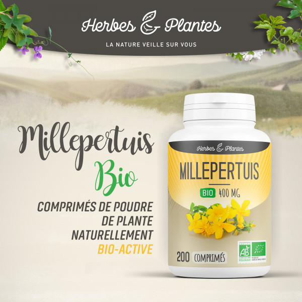Millepertuis Bio - 400 mg - 200 comprimés - H&P