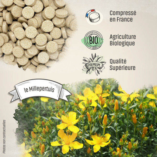 Millepertuis Bio - 400 mg - 200 comprimés - H&P