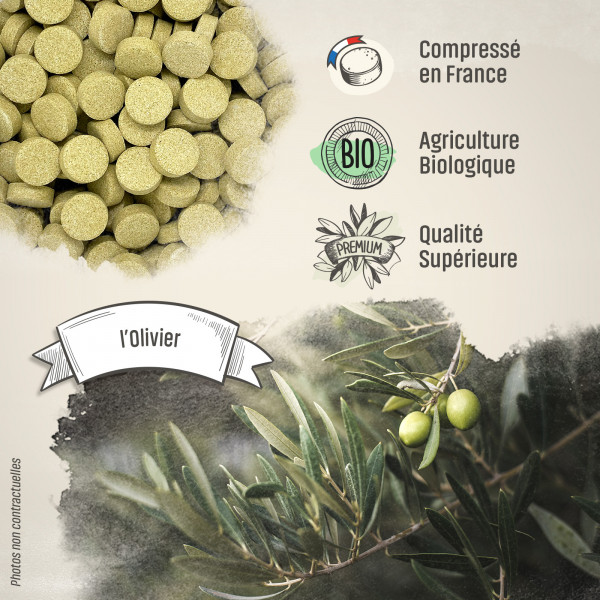 Olivier Bio - 400 mg - 200 comprimés - H&P