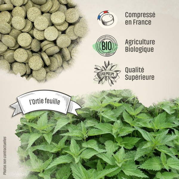 Ortie feuille Bio - 400 mg - 200 comprimés - H&P