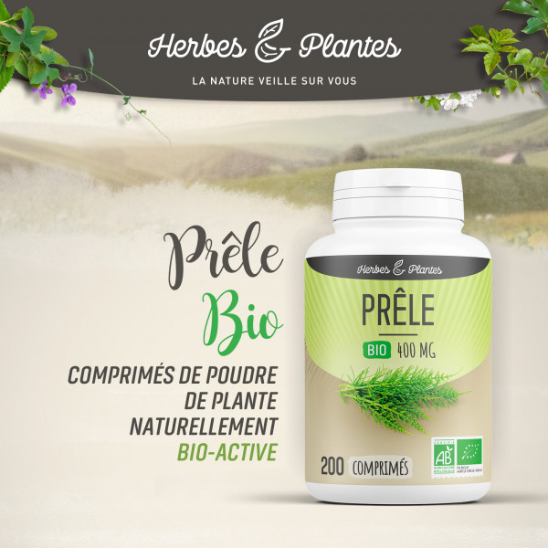 Prêle Bio - 400 mg - 200 comprimés - H&P