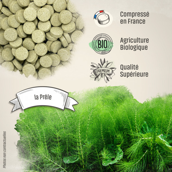 Prêle Bio - 400 mg - 200 comprimés - H&P