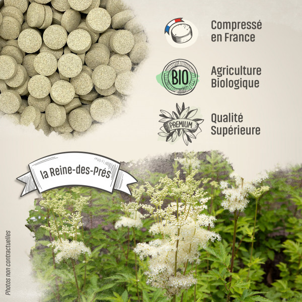 Reine-des-prés Bio - 400 mg - 200 comprimés - H&P