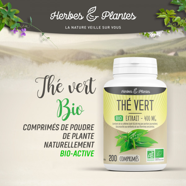 Thé vert extrait Bio - 400 mg - 200 comprimés - H&P