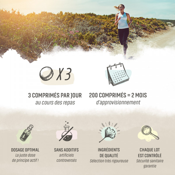 Thé vert extrait Bio - 400 mg - 200 comprimés - H&P