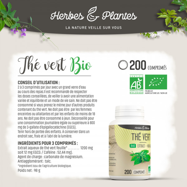 Thé vert extrait Bio - 400 mg - 200 comprimés - H&P