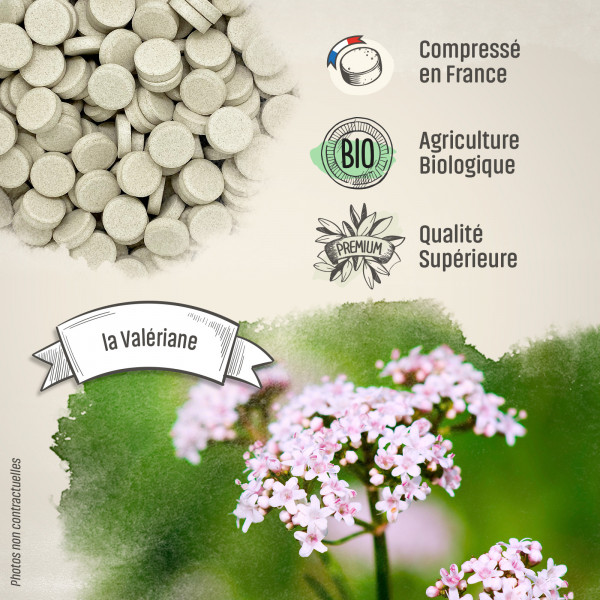 Valériane extrait Bio - 400 mg - 200 comprimés - H&P