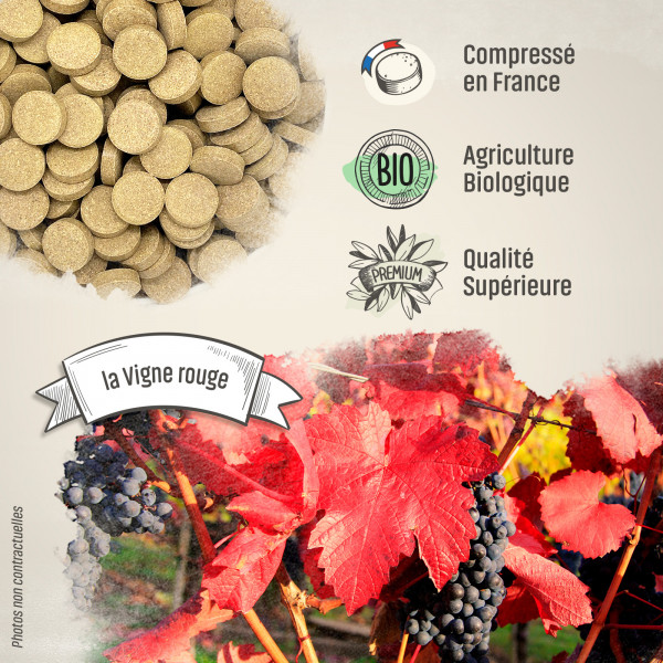 Vigne Rouge Bio - 400 mg - 200 comprimés - H&P
