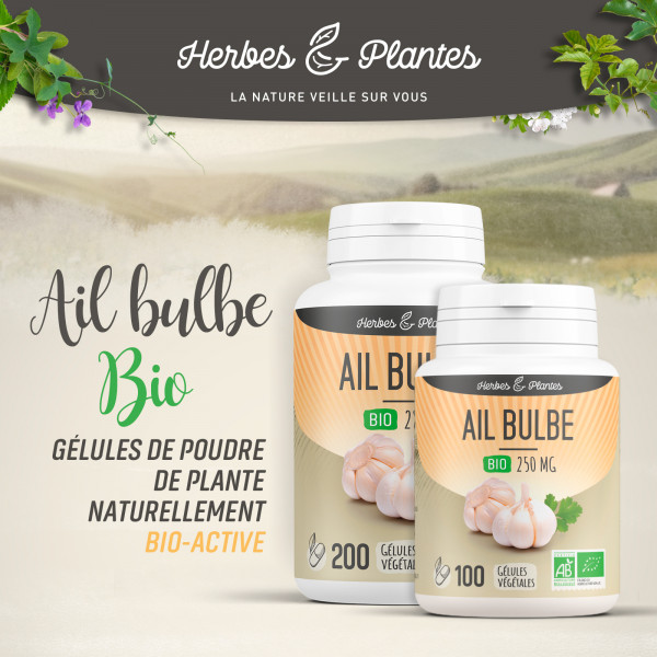 Ail bulbe Bio - 280 mg - Gélules végétales - H&P
