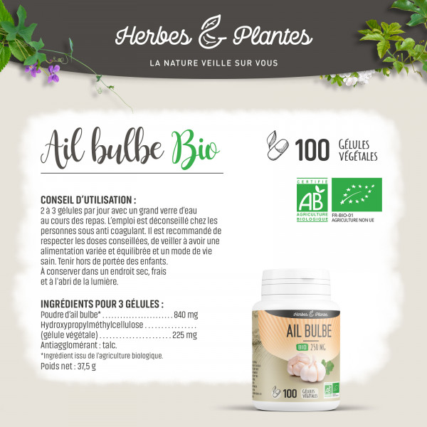 Ail bulbe Bio - 280 mg - Gélules végétales - H&P