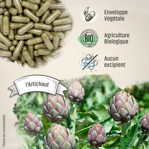 Artichaut Bio - 200 mg - Gélules végétales
