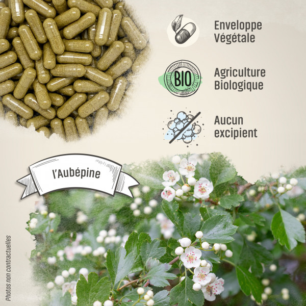 Aubépine Bio - 270 mg - Gélules végétales