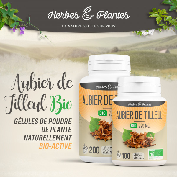Aubier de Tilleul Bio - 220 mg - Gélules végétales
