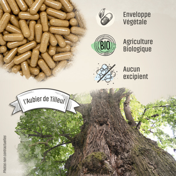 Aubier de Tilleul Bio - 220 mg - Gélules végétales