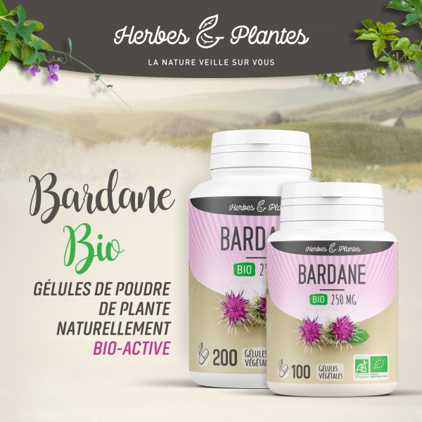 Bardane Bio - 250 mg - Gélules végétales