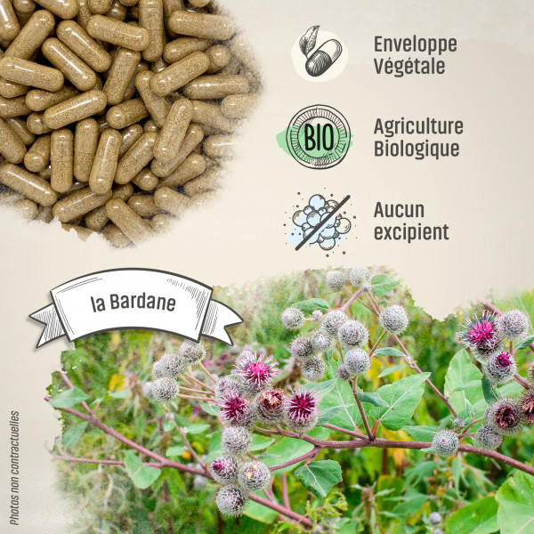Bardane Bio - 250 mg - Gélules végétales