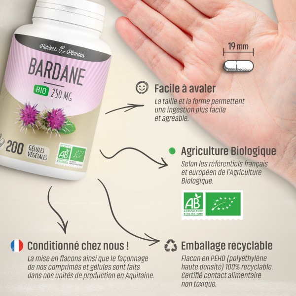 Bardane Bio - 250 mg - Gélules végétales
