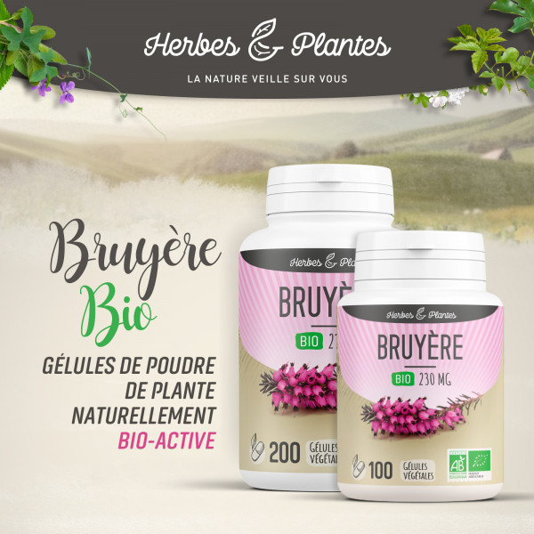 Bruyère Bio - 230 mg - Gélules végétales