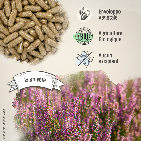 Bruyère Bio - 230 mg - Gélules végétales