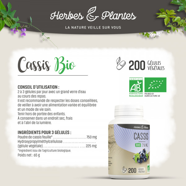 Cassis Bio - 250 mg - Gélules végétales
