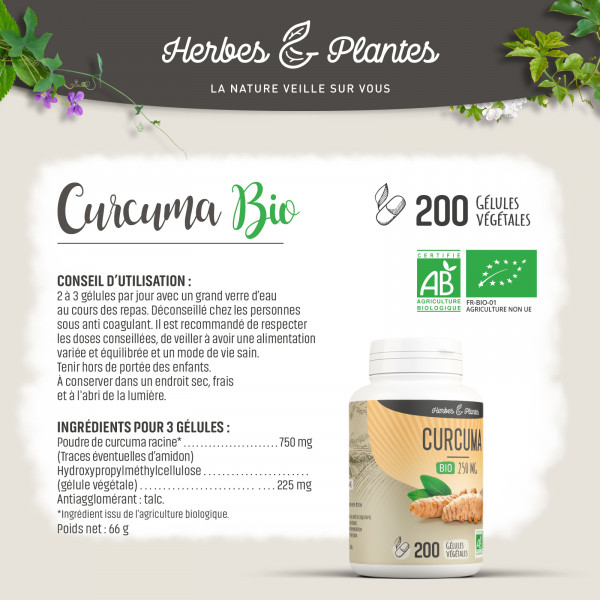 Curcuma Bio - 250 mg - Gélules végétales
