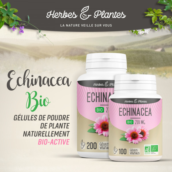 Echinacea Bio - 210 mg - Gélules végétales