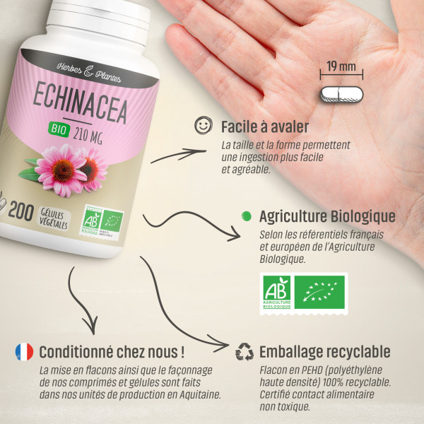 Echinacea Bio - 210 mg - Gélules végétales