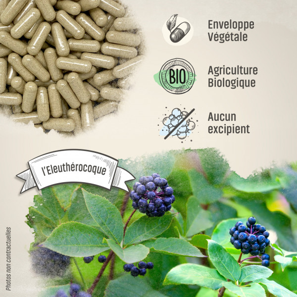 Eleuthérocoque Bio - 210 mg - Gélules végétales
