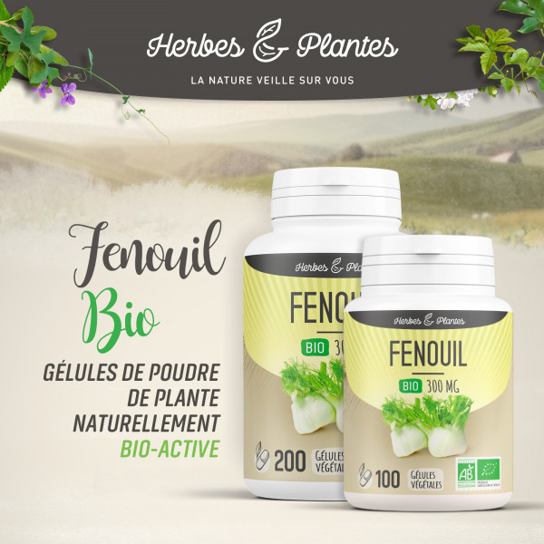 Fenouil Bio - 300 mg - Gélules végétales