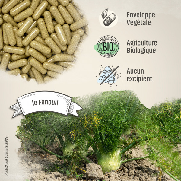 Fenouil Bio - 300 mg - Gélules végétales
