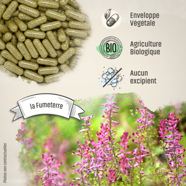 Fumeterre bio -200 gélules végétales 200mg