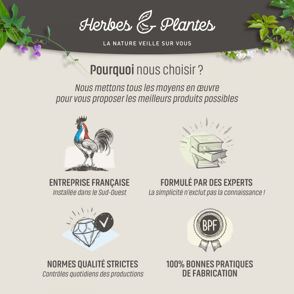 Fumeterre bio -200 gélules végétales 200mg