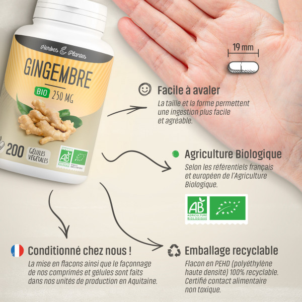 Gingembre Bio - 250 mg - Gélules végétales