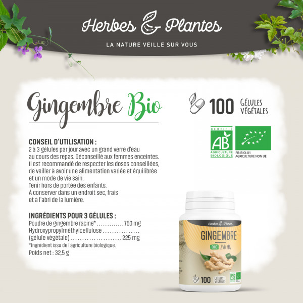 Gingembre Bio - 250 mg - Gélules végétales
