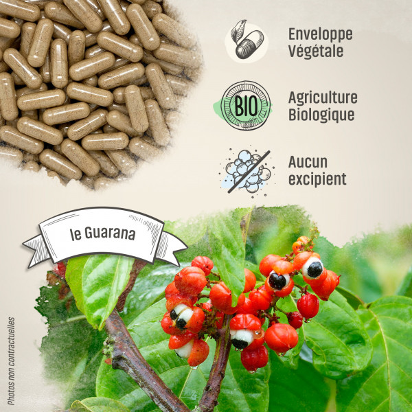 Guarana Bio - 300 mg - Gélules végétales